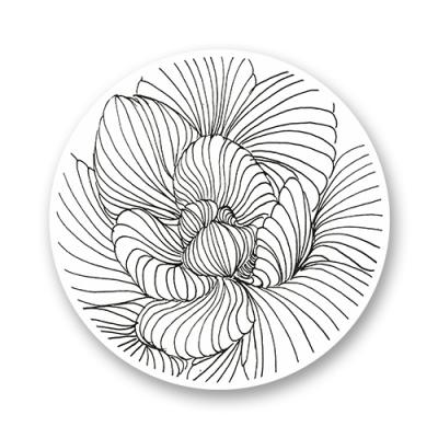 Стикер "Graphic Succulent"