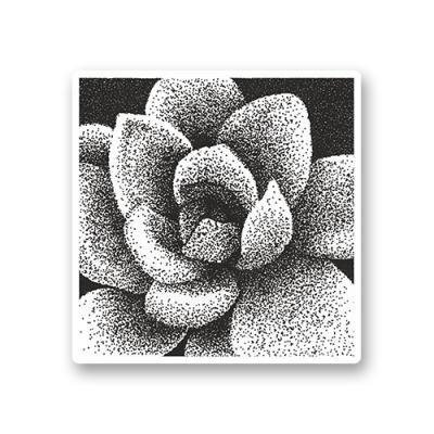 Стикер "Dot-Work Succulent"