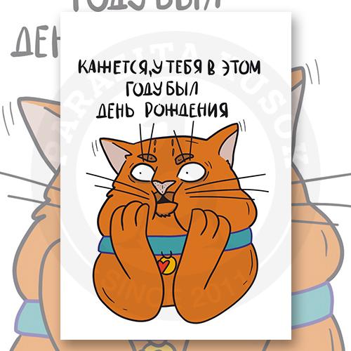 Открытка "whatever cat"