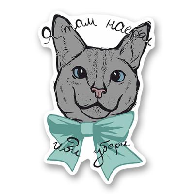Стикер "Коты - это жидкость"