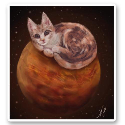 "Кот на Марсе"