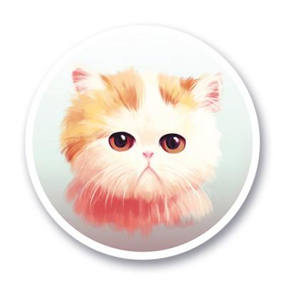 котик мимими