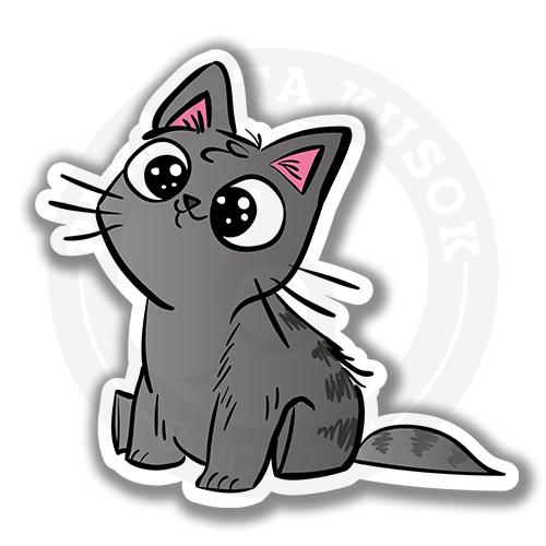 Любопытный котёнок