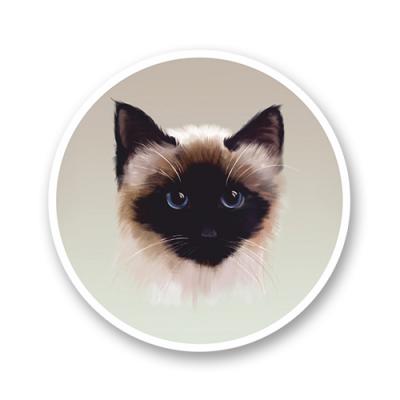 Стикер "Котик"
