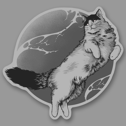Котя