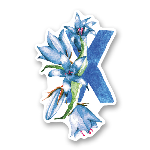 Буква X и колокольчики