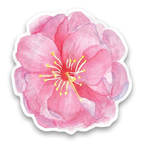 Стикер &laquo;Цветок сакуры&raquo;