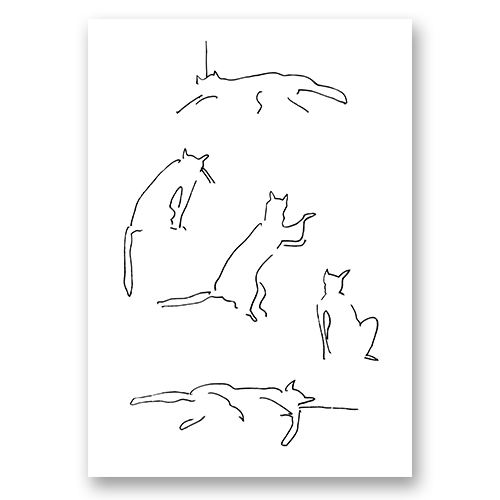 Силуэты котов