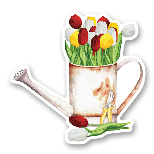 Лейка с тюльпанами