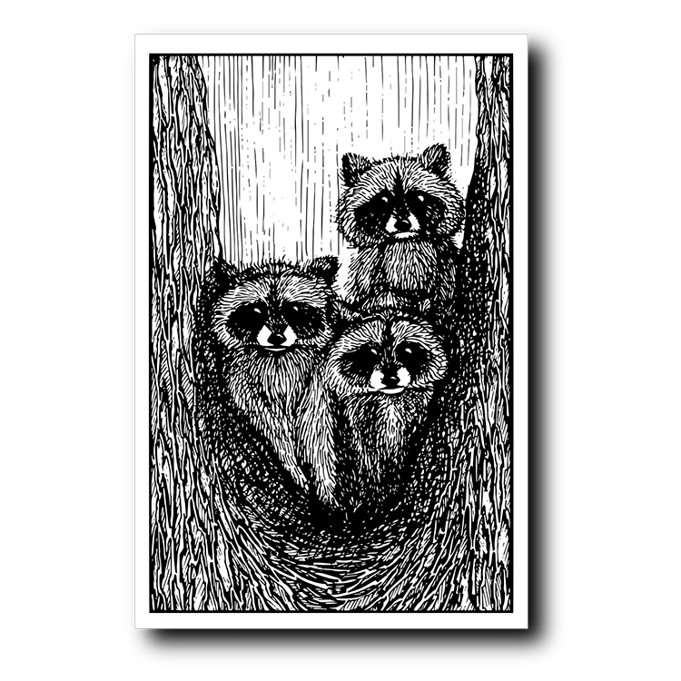 Енотики