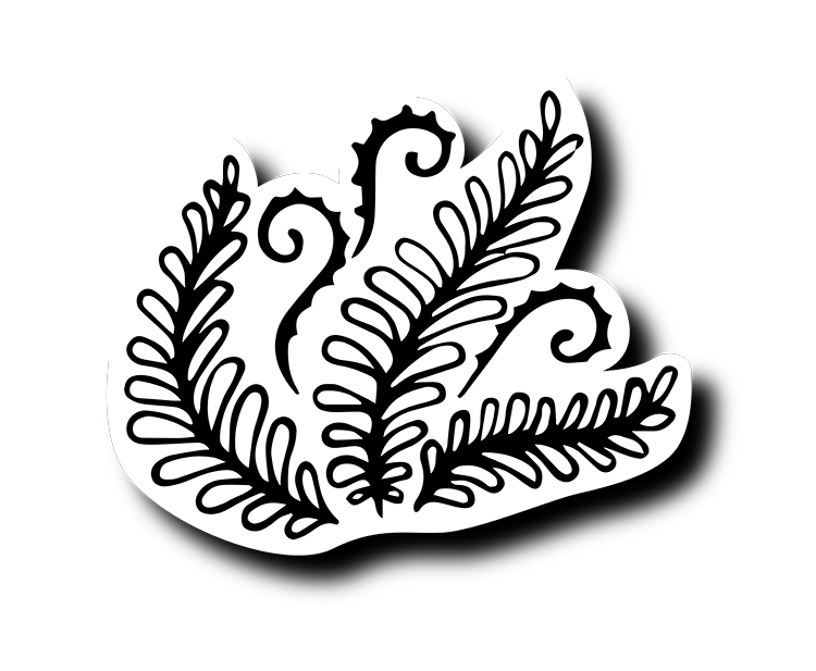 Папоротник