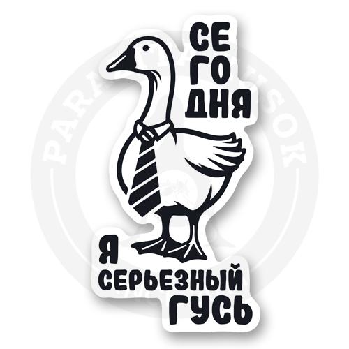 Сегодня я серьезный гусь