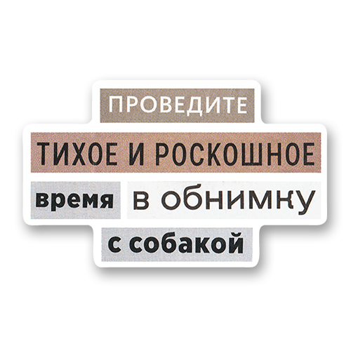 Проведите тихое и роскошное время в обнимку с собакой