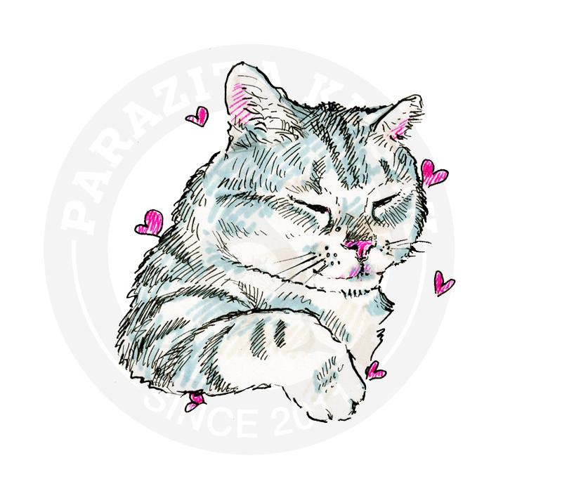 Наклейка Кот