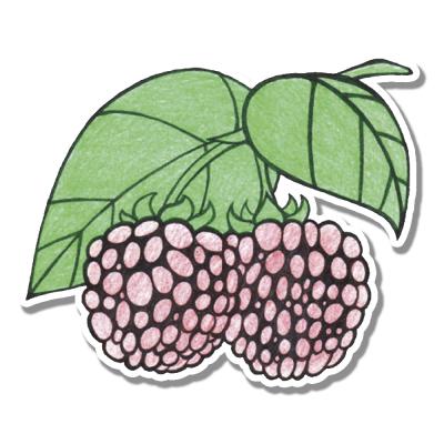Стикер малина