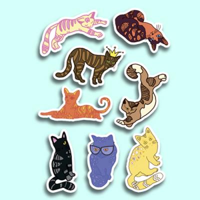 Котики