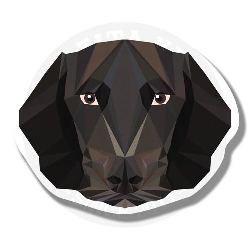 Пес хаунд